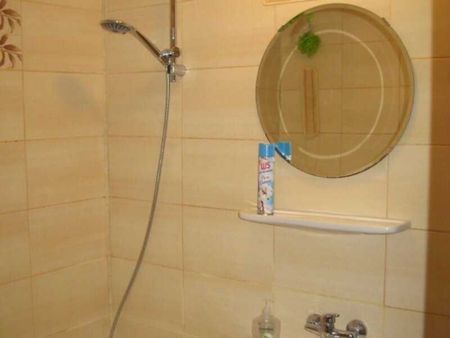 Tineretului viorele parter - Photo 5