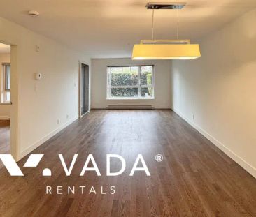 1 Bedroom Apartment For Rent in Burnaby - Photo 5