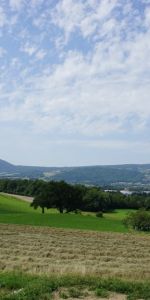 Location appartement 2 pièces - Photo 4