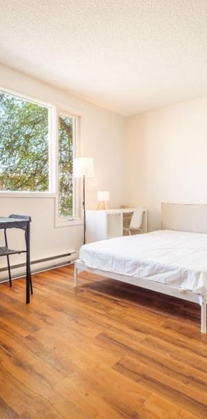 Studio & 1 Ch. Meublé et Rénové dès 920$ | Tout Inclus! à louer Montréal Hochelaga-Maisonneuve/Mercier - Photo 1