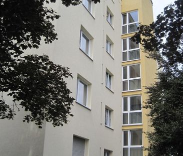 Frisch renovierte 2-Zimmer-Wohnung wartet auf Sie! - Photo 1