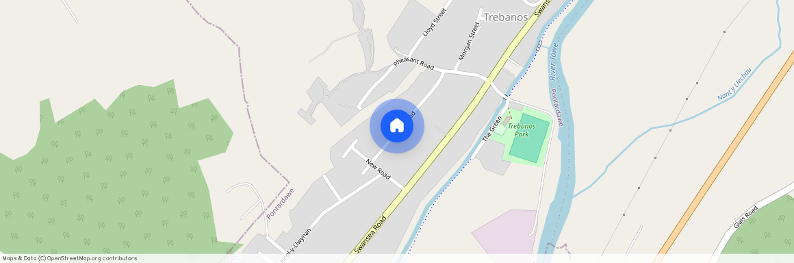 New Road, Abertawe, SA8