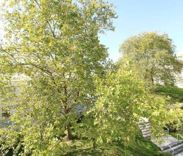 Appartement 1 pièce - - Photo 1