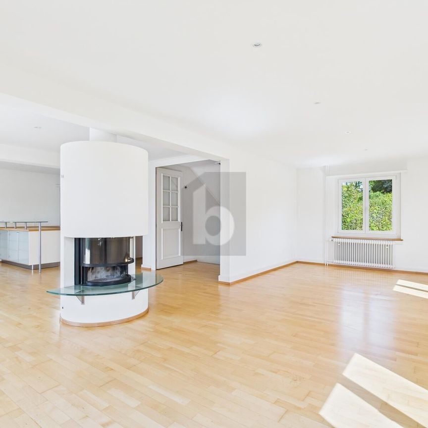 DREAMY HOUSE WITH LAKE VIEW AND GARDEN - Foto 1