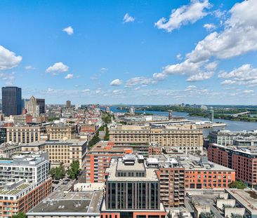 245 Robert-Bourassa Blvd, Montréal, QC - Photo 5