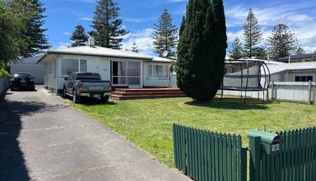 Currently being renovated 3-bedroom home - Photo 5