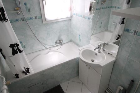 Location Appartement 2 pièces 40m² JOINVILLE LE PONT 94340 - Photo 3