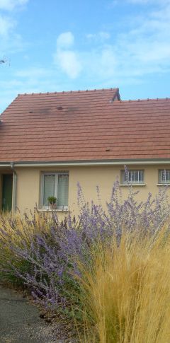 Location Maison 4 pièces 90 m² Buzançais - Photo 2