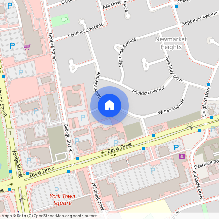 63 Walter Avenue Unit# MAIN, Newmarket