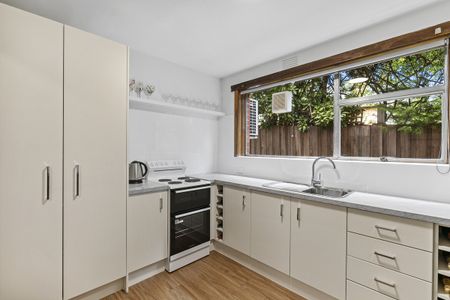 Neat & Private Ground Floor Unit in Prime Sandy Bay Location - Photo 2