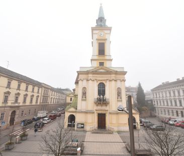 Schöne & Helle 2 - Zimmer Wohnung | unbefristet | ab sofort - Photo 4