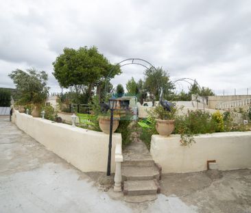 A LOUER T2 JARDIN MURVIEL - Photo 6