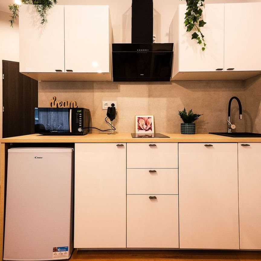 Przytulna kawalerka w centrum Katowic 24 m² - Zdjęcie 1