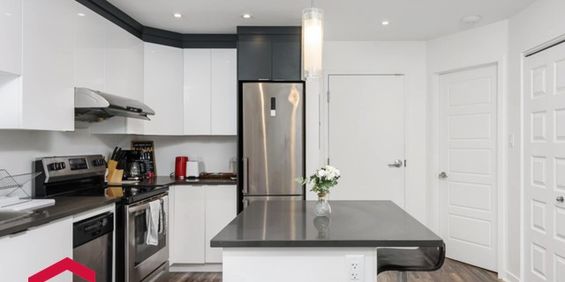 Appartement Le Sud-Ouest (Montréal) � Louer - Photo 3