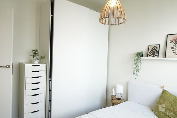 MIESZKANIE na WYNAJEM - Zdjęcie 1