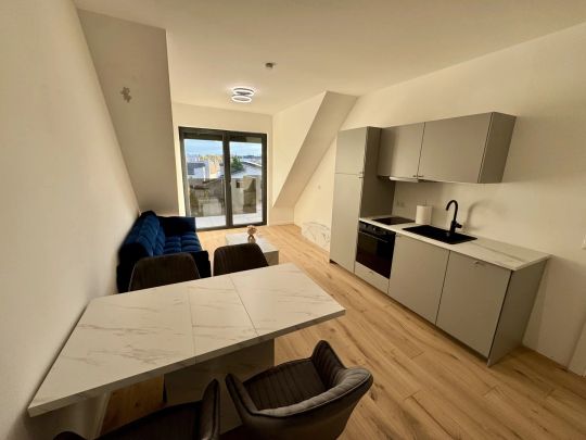 Monthly Rental! Luxury Living! Penthouse! Skyline+Kahlenberg View! Terrasse! Garage! - Photo 1