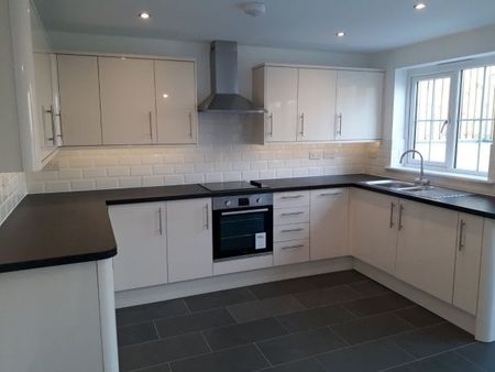 LIFTONDOWN, Lifton, PL16 - Photo 4