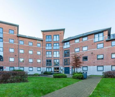 1 bedroom in a flat share to rent - Photo 4