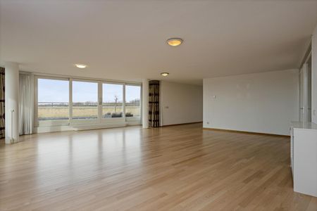 Hofdael, 5664GR, Geldrop - Photo 4