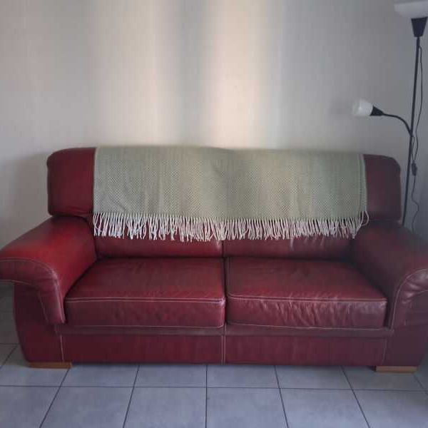 Location Appartement 2 pièces 38m² LAUNAGUET 31140 - Photo 1