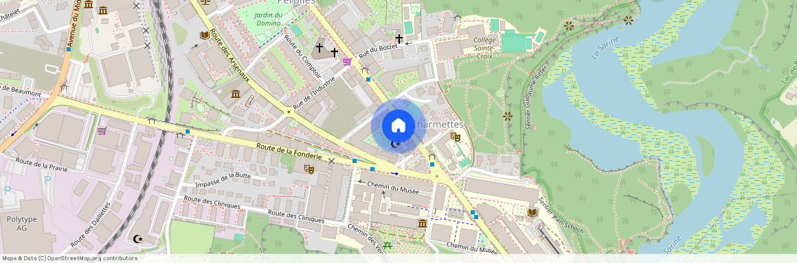 Boulevard de Pérolles 79, 1700 Fribourg