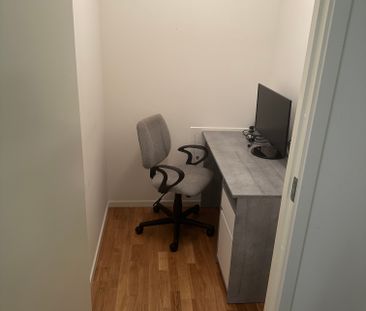 Gaffelseglet, Vega - Photo 5