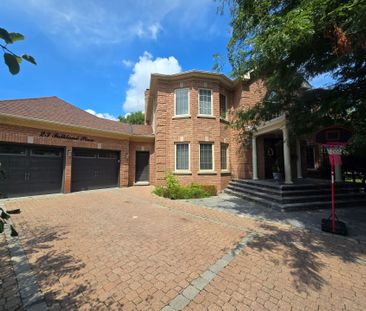 For Lease - 23 Falkland Place Unit# Lower Level 1, Richmond Hill, O... - Photo 3