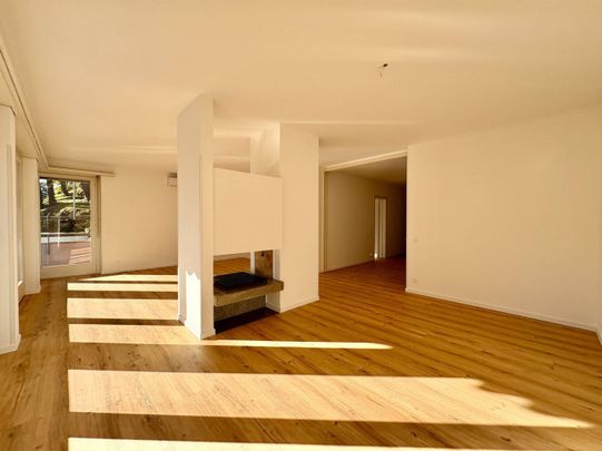 Appartamento in Affitto a Lugano - Photo 1