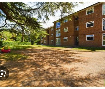Room in a Shared Flat, Southcoute Road, RG30 - Photo 2