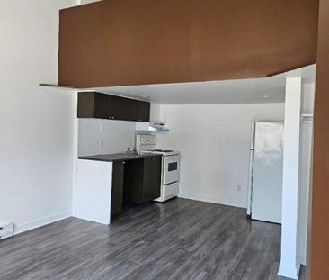 1 CH - 1 SDB - Montréal - $1,300 /mo - Photo 1