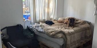 Full apartment 1bd in Vancouver. All INCL PET FRIENDLY - Photo 2