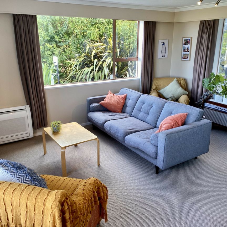 Perched above all - A St Clair gem - Photo 1