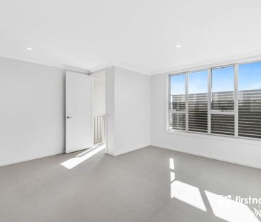 Don't Be Jelly!! - Photo 2