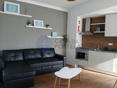 Apartamento T1 - Photo 5