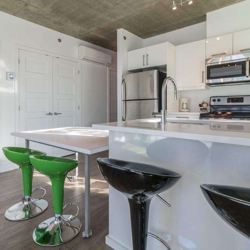 Condo for rent, Montréal (Le Sud-Ouest) - Photo 1