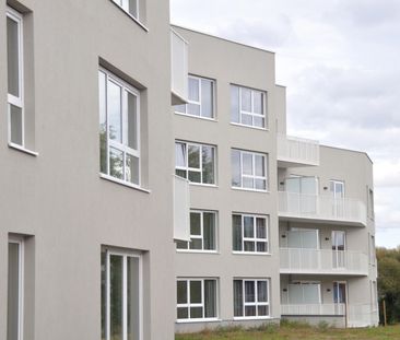 Appartement Te huur in Zellik - Foto 2