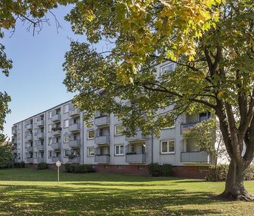 Endlich zuhause: 2- Zimmerwohnung in Hannover-Sahlkamp - Photo 3