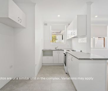 Stylish Ground Floor Apartment Moments from Elouera Beach - Photo 5