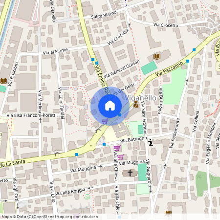 Via Emilio Rava 1, 6962 Viganello