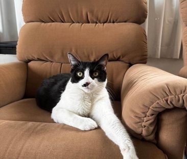 Surfers Paradise - Photo 1