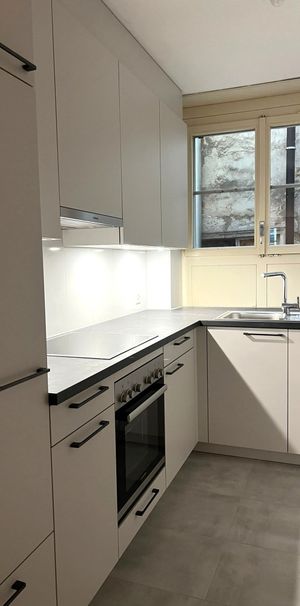 2.5 Zimmer, 57 m², 1. Stock - Foto 1