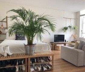 Te huur: Appartement Prinsegracht in Den Haag - Foto 5