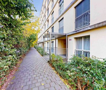 3.5 Zimmer, 65 m² - Photo 5