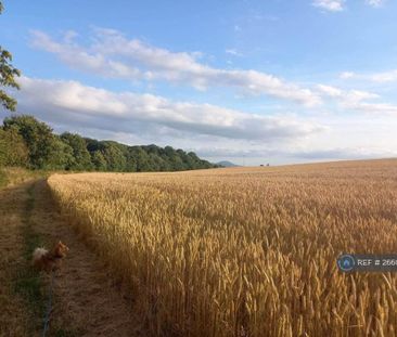 2 bedroom mobile home to rent - Photo 2