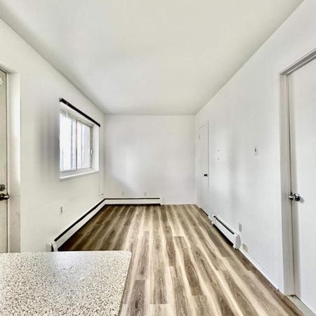 1 CH - 1 SDB - Montréal - $1,450 /mo - Photo 4