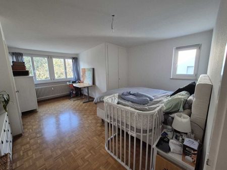 4-ROOM APARTMENT IN BASEL – BRUDERHOLZ, FURNISHED, TEMPORARY - Foto 3