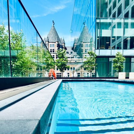 530 Rue St Hubert, Montréal (Ville-Marie), QC H2Y - Photo 3