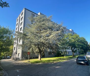Volledig gerenoveerd appartement - Photo 3