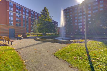 Appartement à louer, Montréal (Ville-Marie) - Photo 4