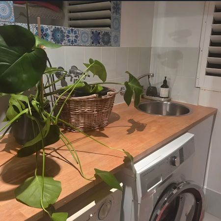 Wongaling Beach - Photo 3